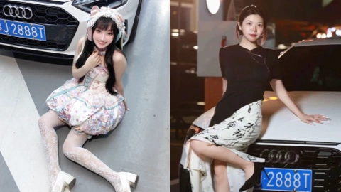 粤J2888T奥迪女车主