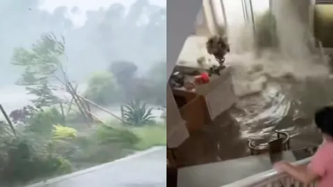 台风麦德姆登陆湛江狂风暴雨