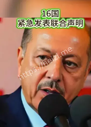 日本城崎海岸救人事件