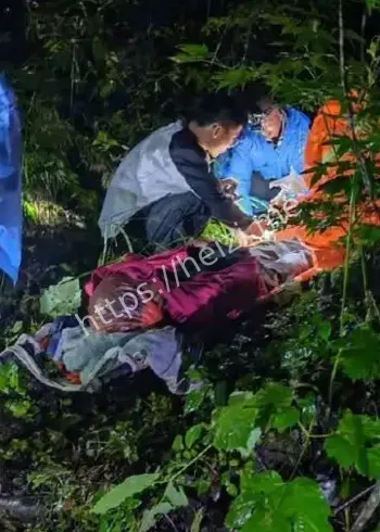 城口黑熊事件时间线