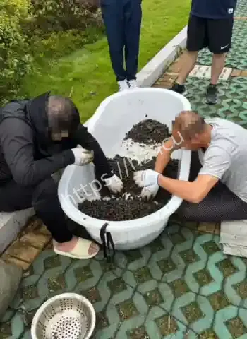 下水摸螺蛳被刑拘
